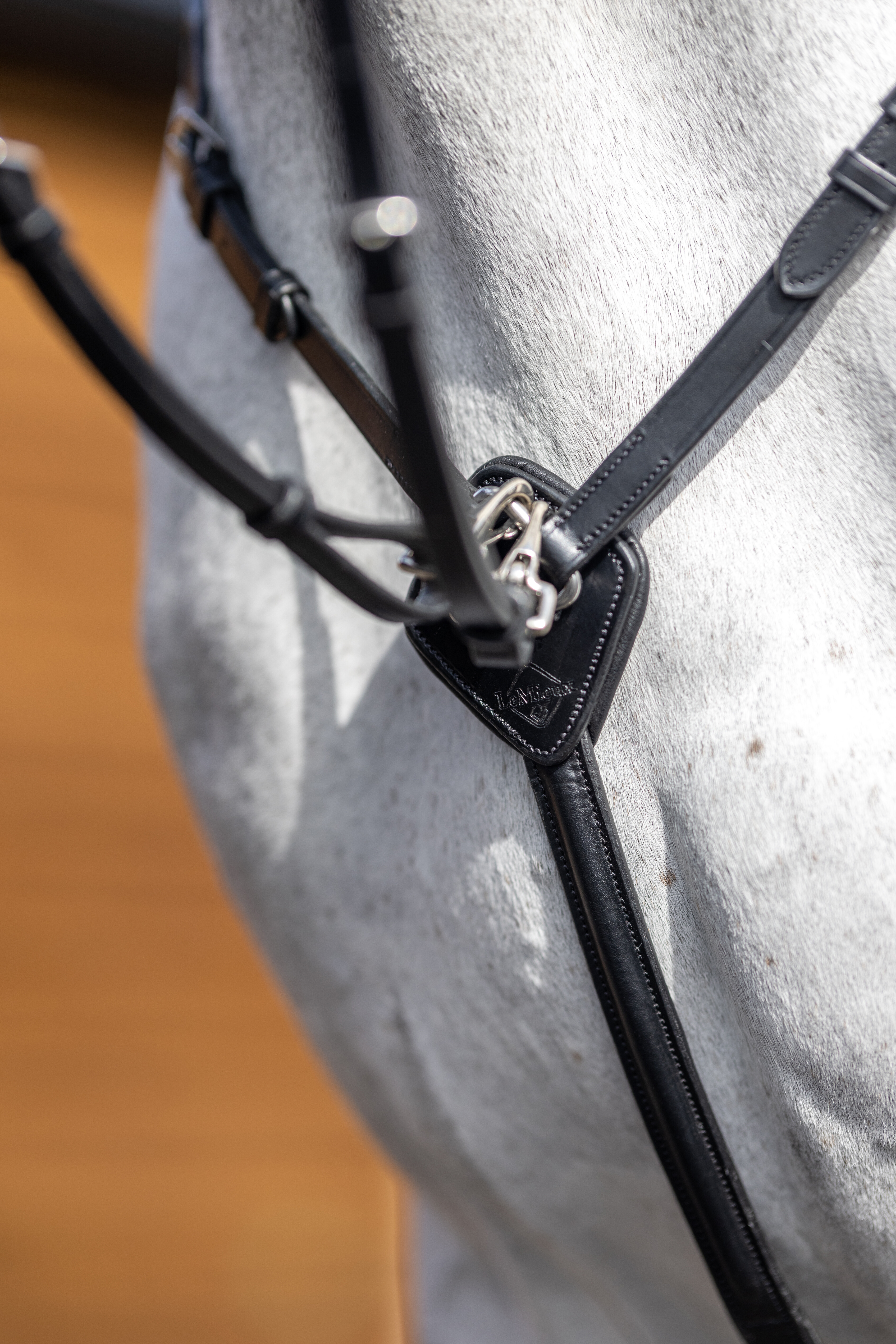 D-ring breastplate