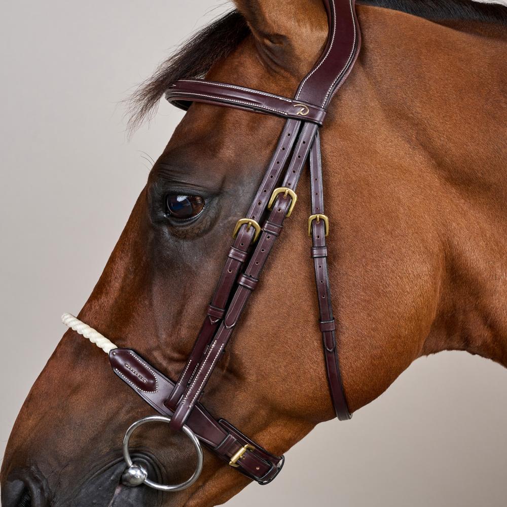 Trense mit Strickreithalfter DY | Dy'on