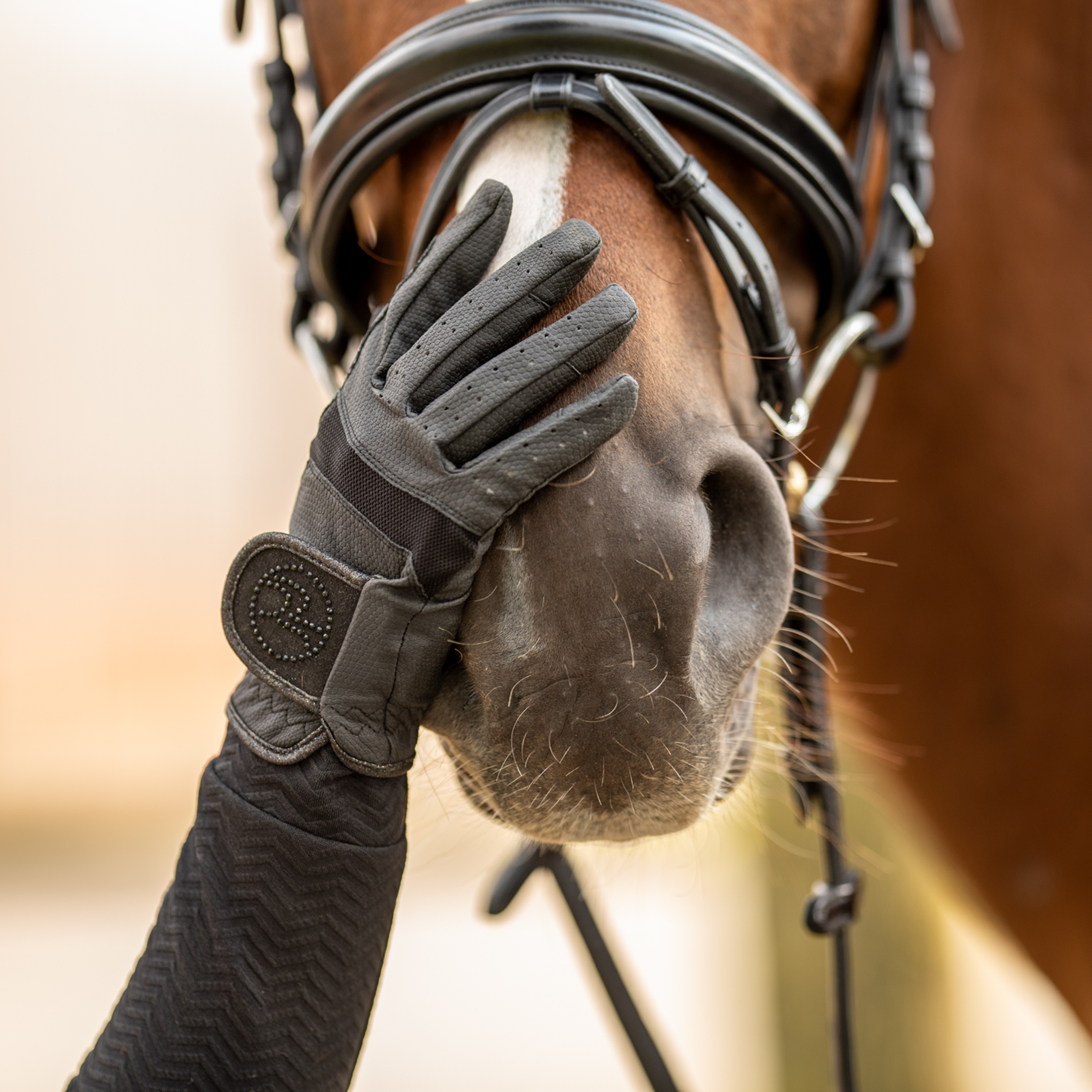 Gants d'équitation Aestetic GP