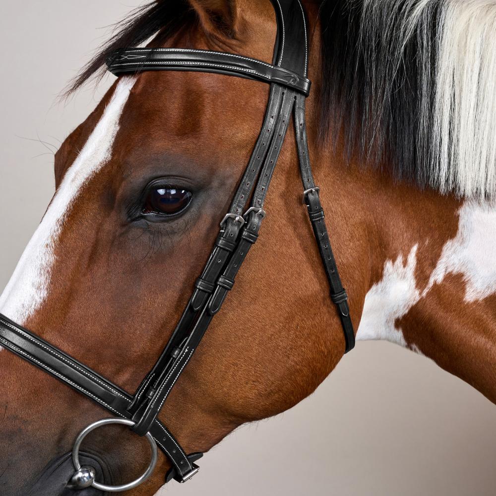 Trense mit Cavesson Reithalfter US