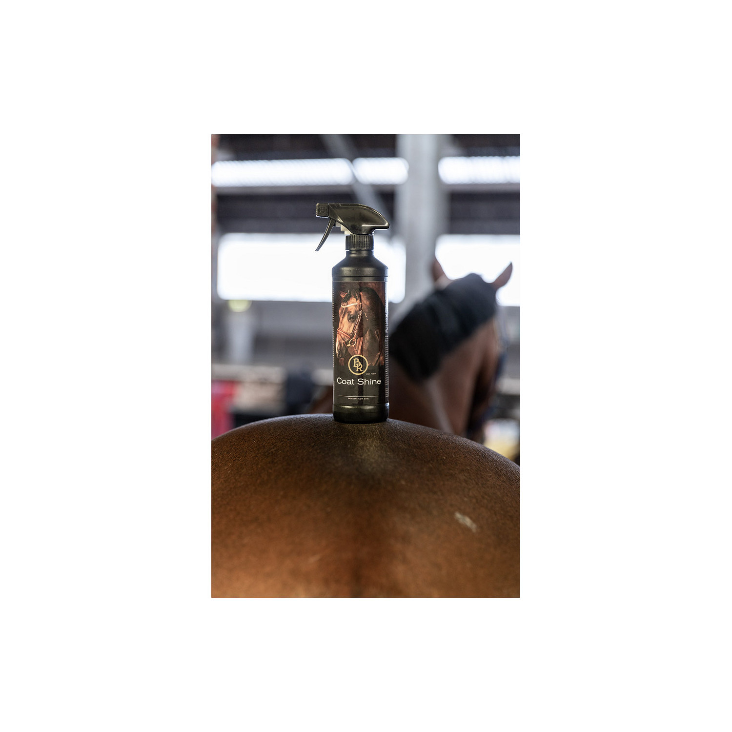Coat Shine 500 ml
