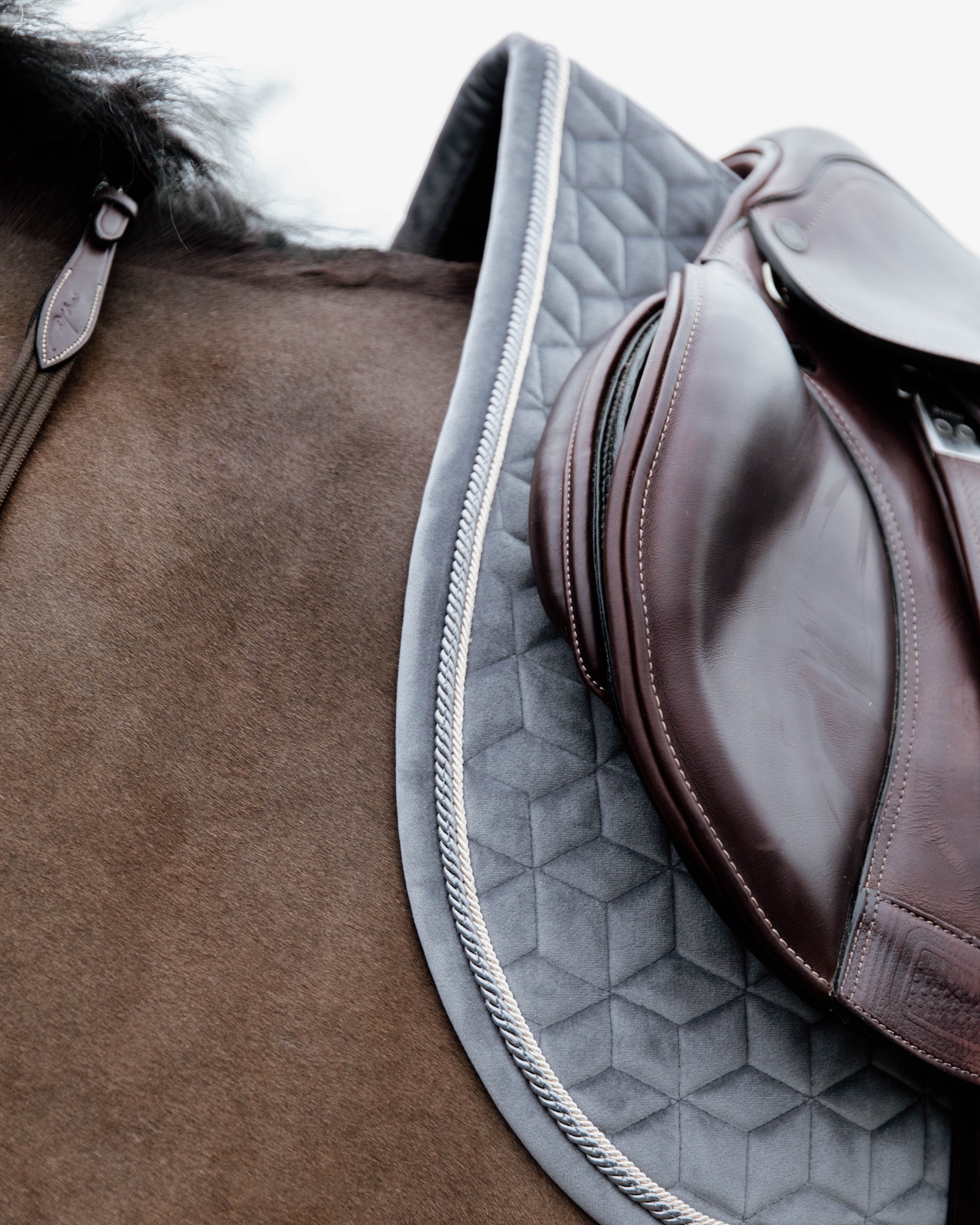 Jumping saddle pad Basic Velvet