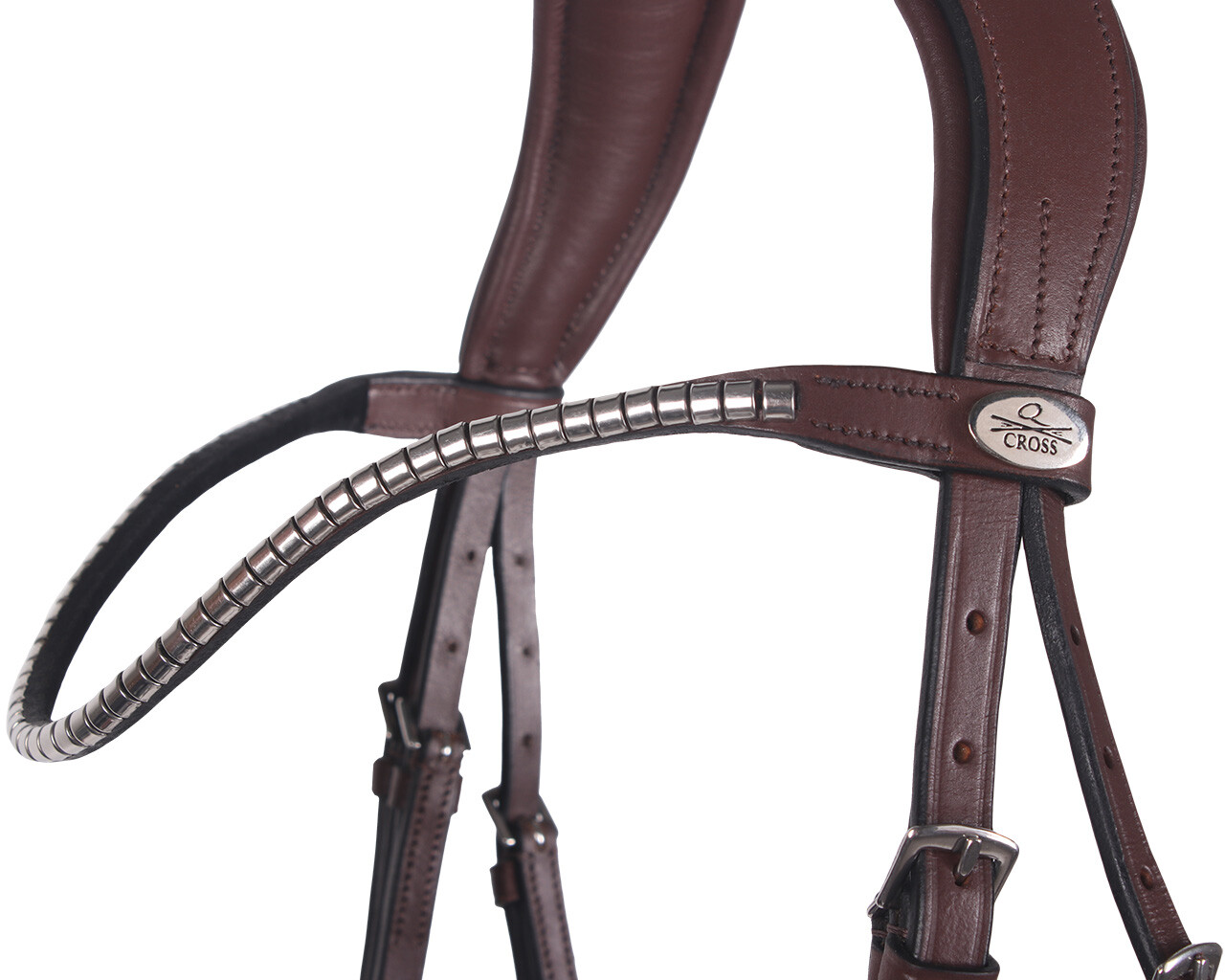 Snaffle Sedna