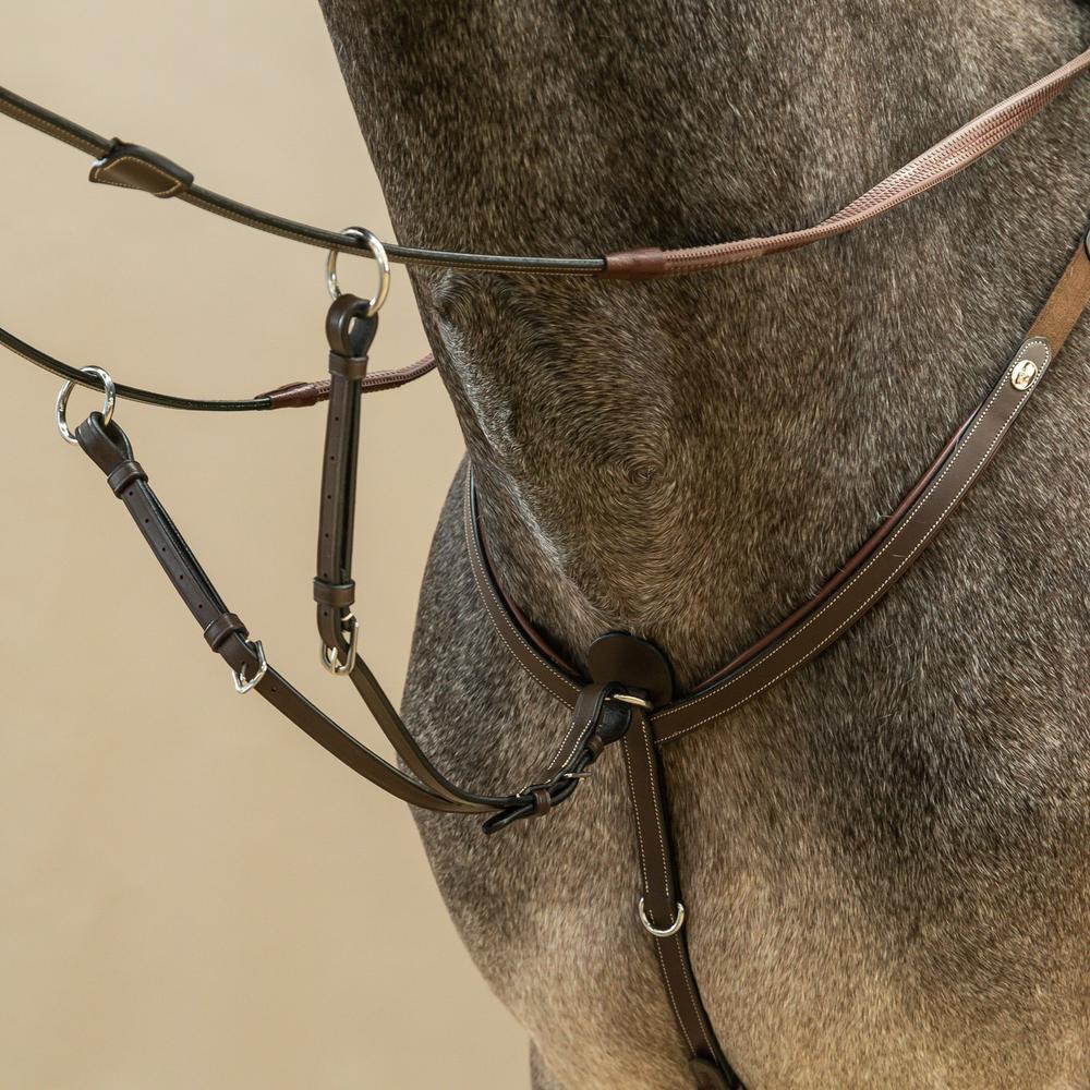 Martingale forks (ring martingale)