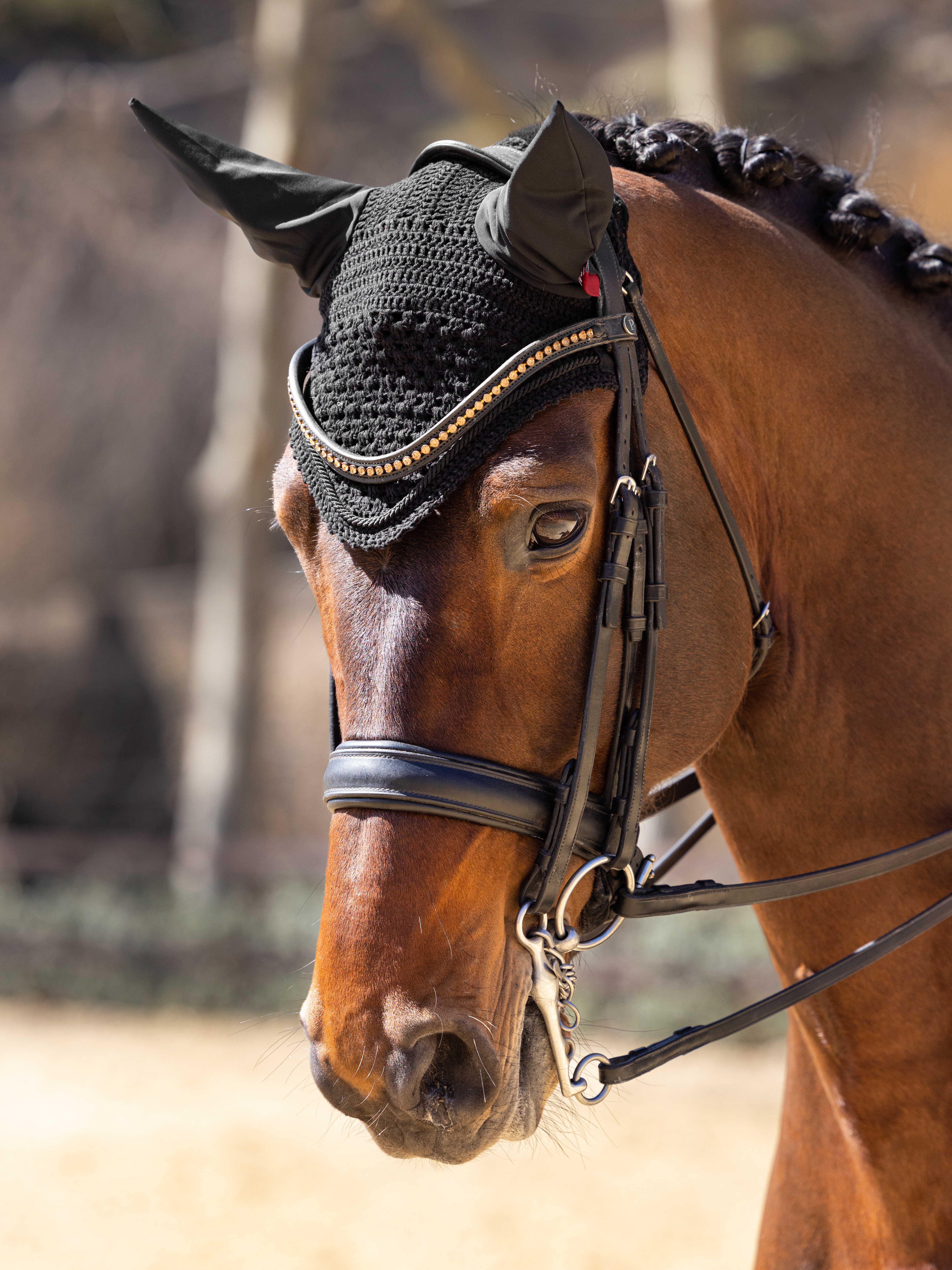 Vogue ear bonnet