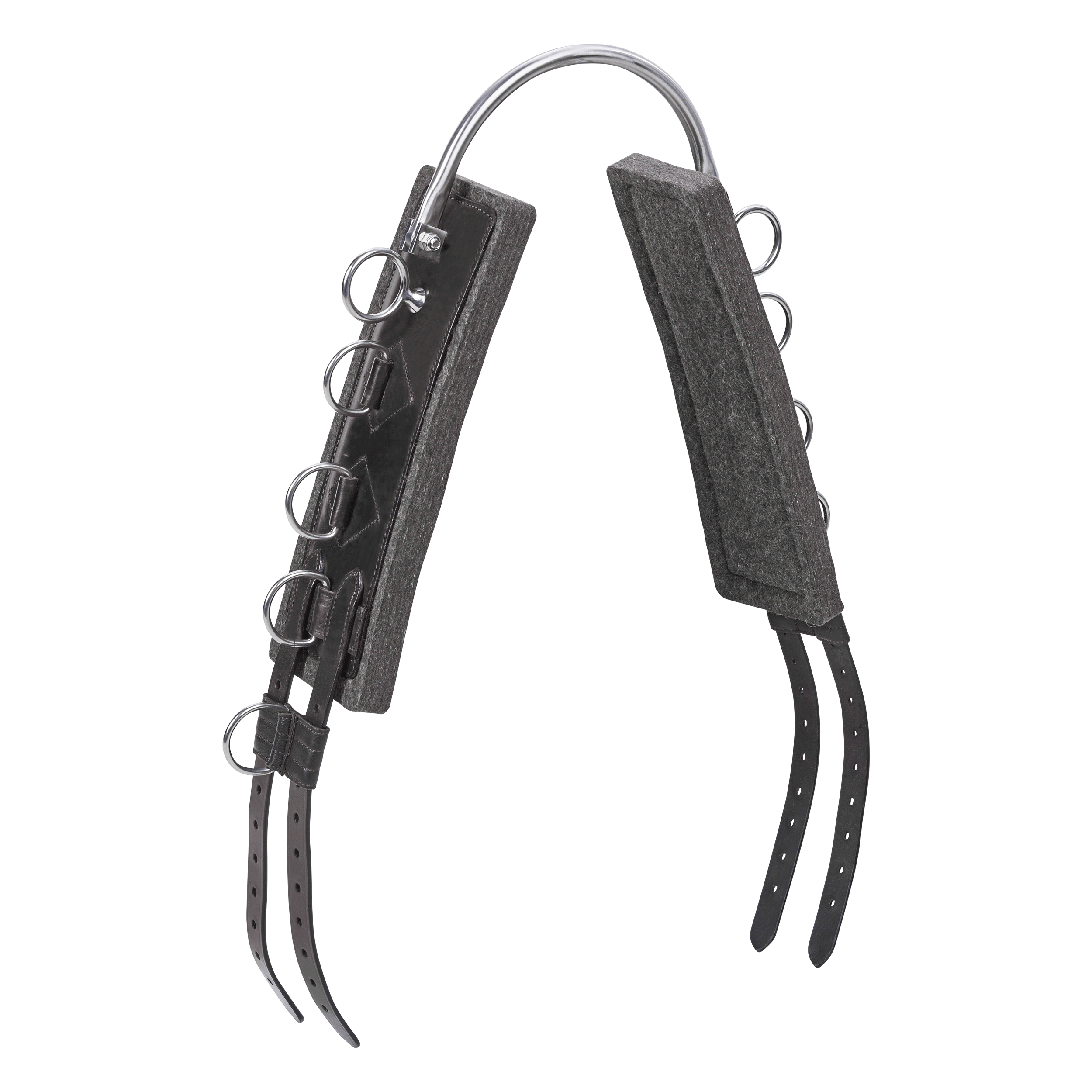 Flex Fit lunge belt