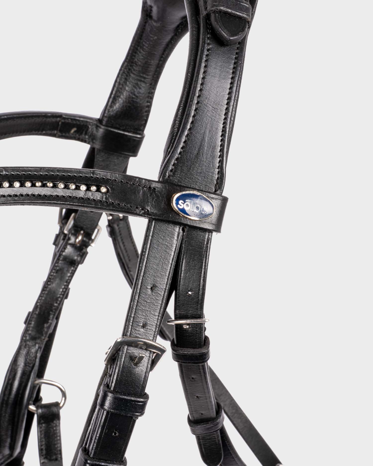 Snaffle Feeling