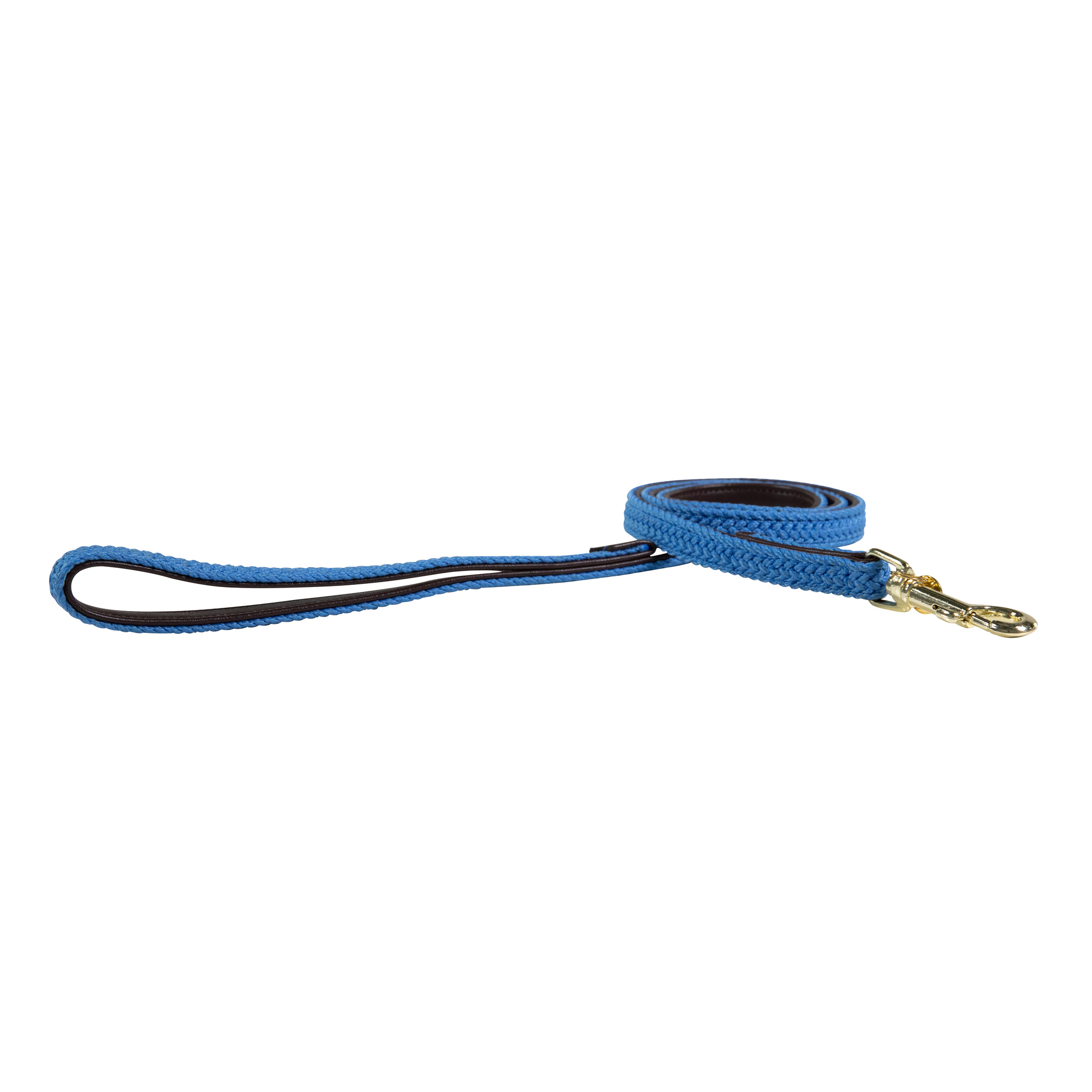 Nylon braided dog lead