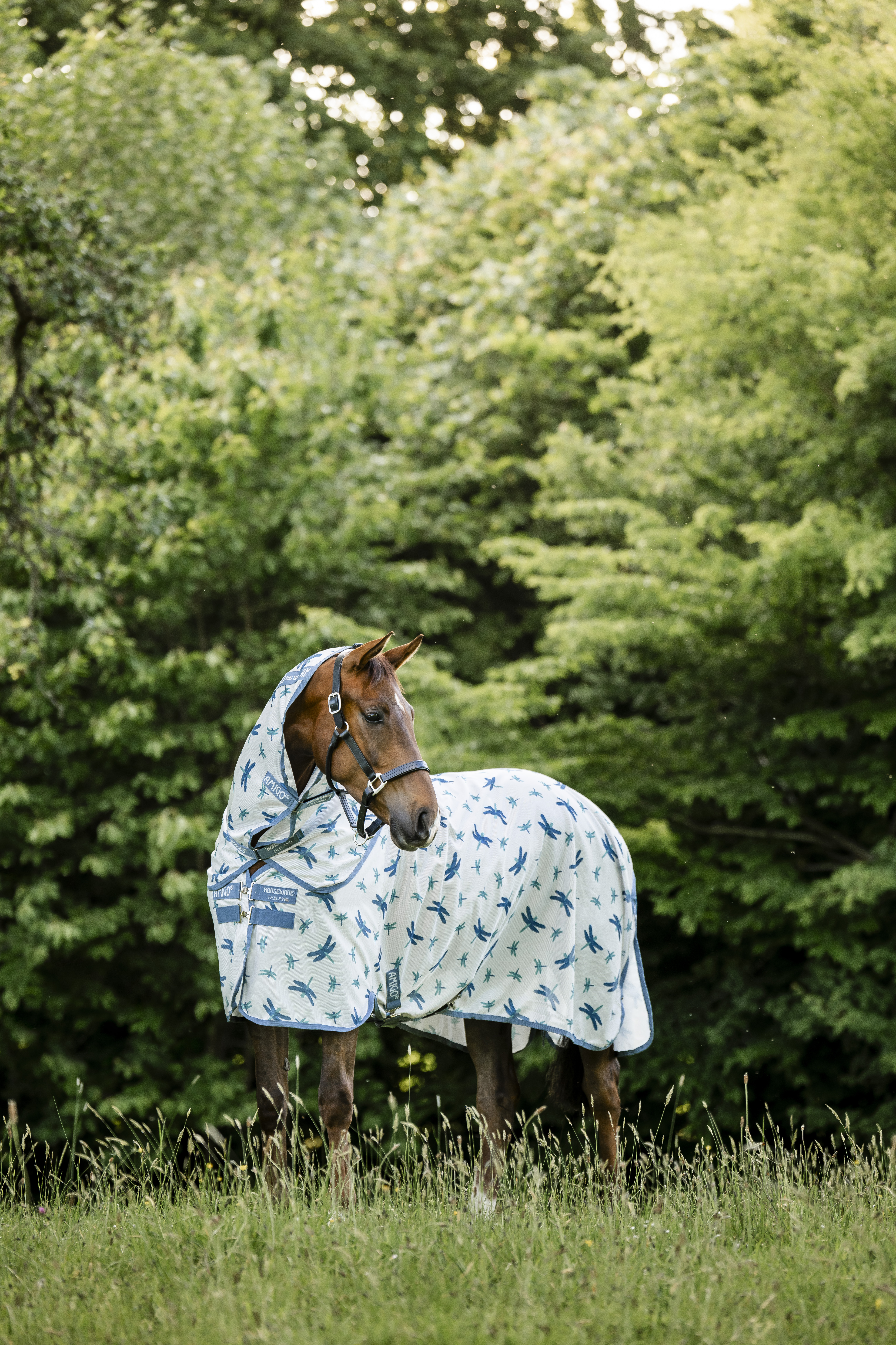 Fliegendecke Amigo Bug Rug XL in dragonfly print