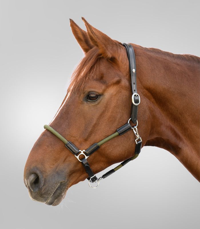 Lederhalfter X-Line Nevada