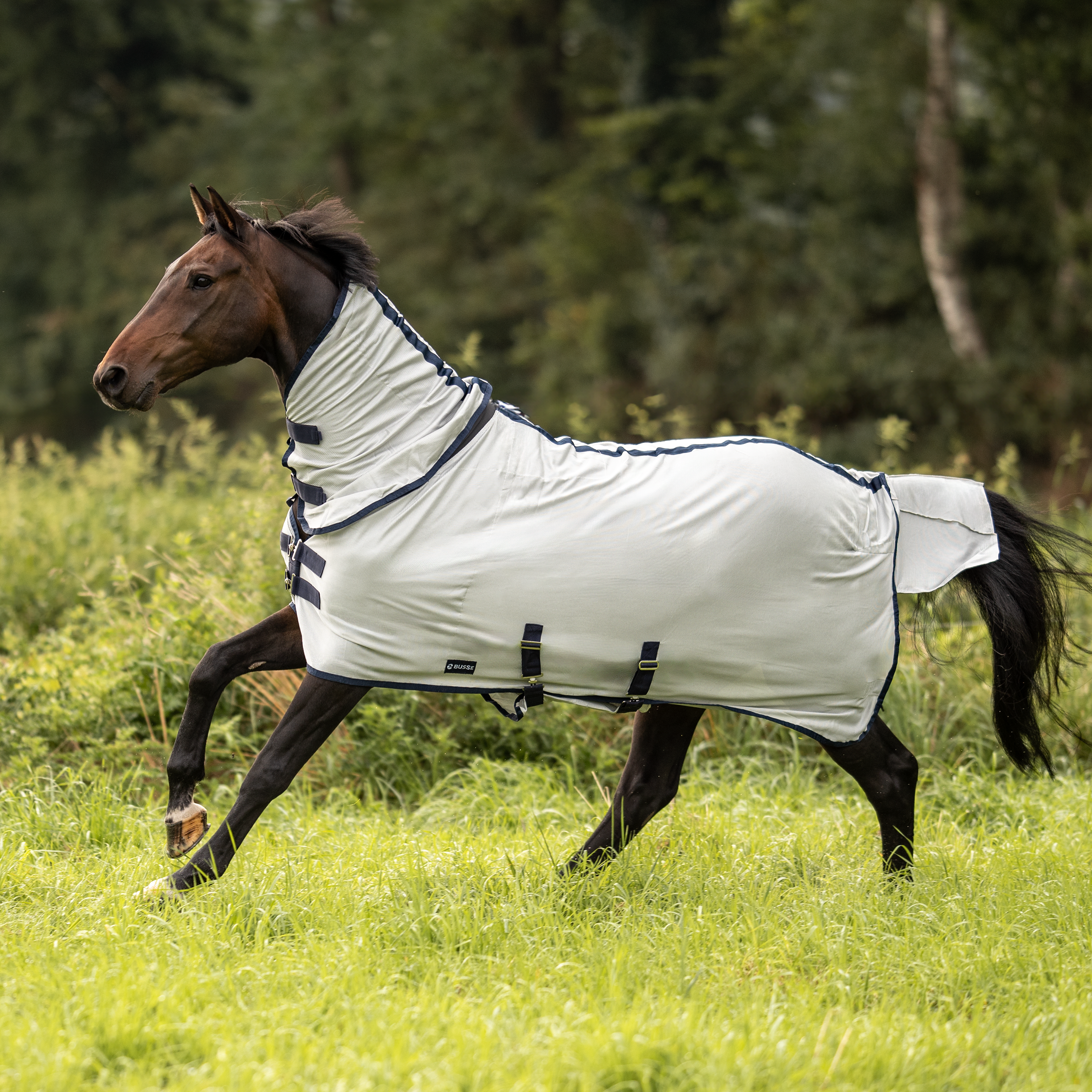 Chemise anti-mouches d'extérieur Comfort Pro