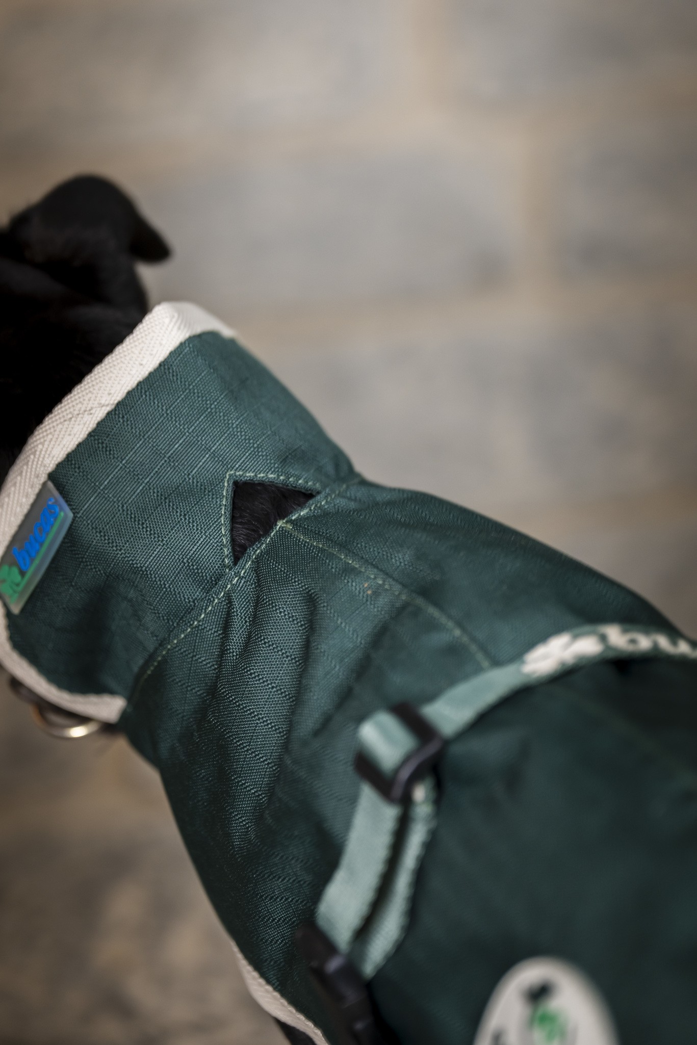 Hundedecke Greenline in Green/cream