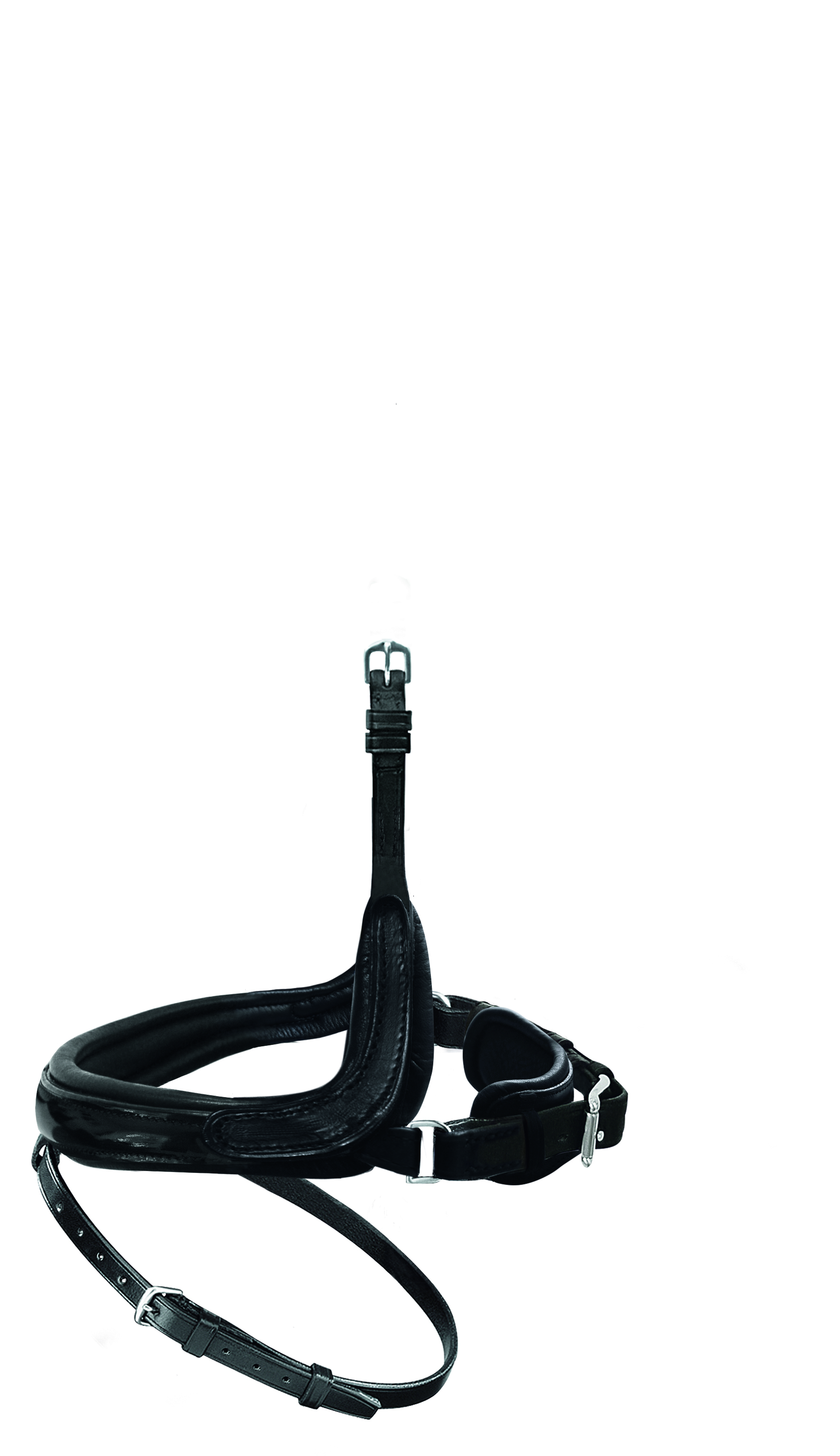 Nasenriemen englisch kombiniert Edelstahl Lackleder in schwarz