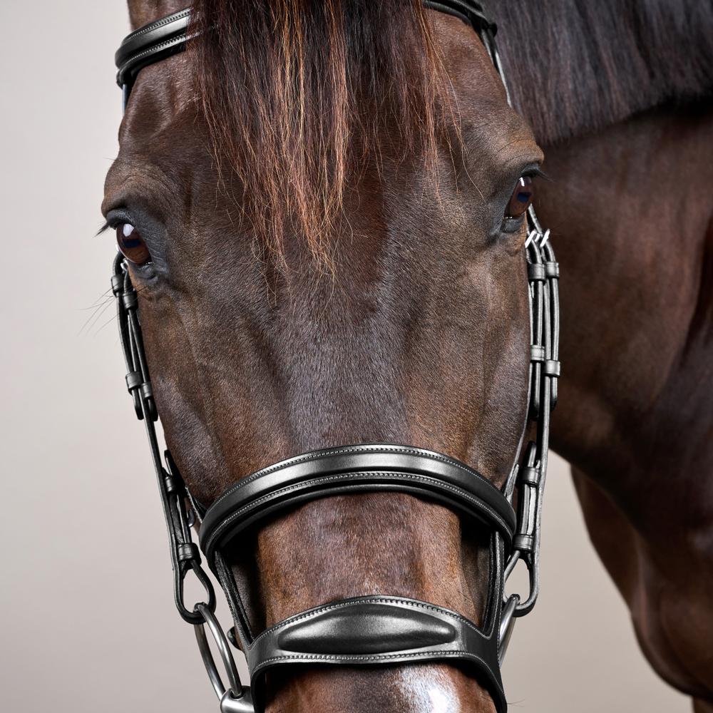 Trense mit Doppelreithalfter NE