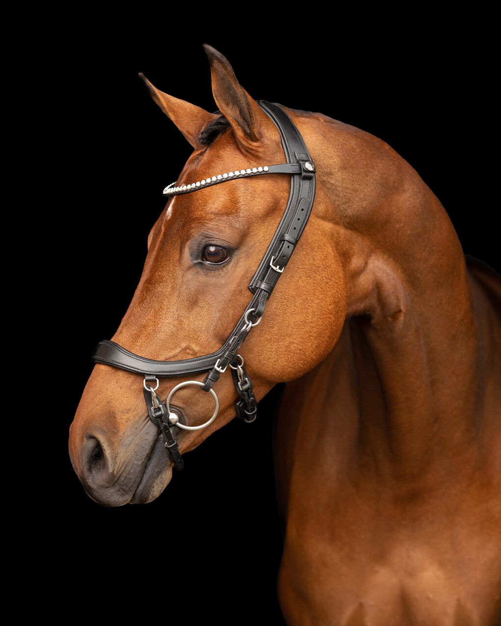 Snaffle FaySport