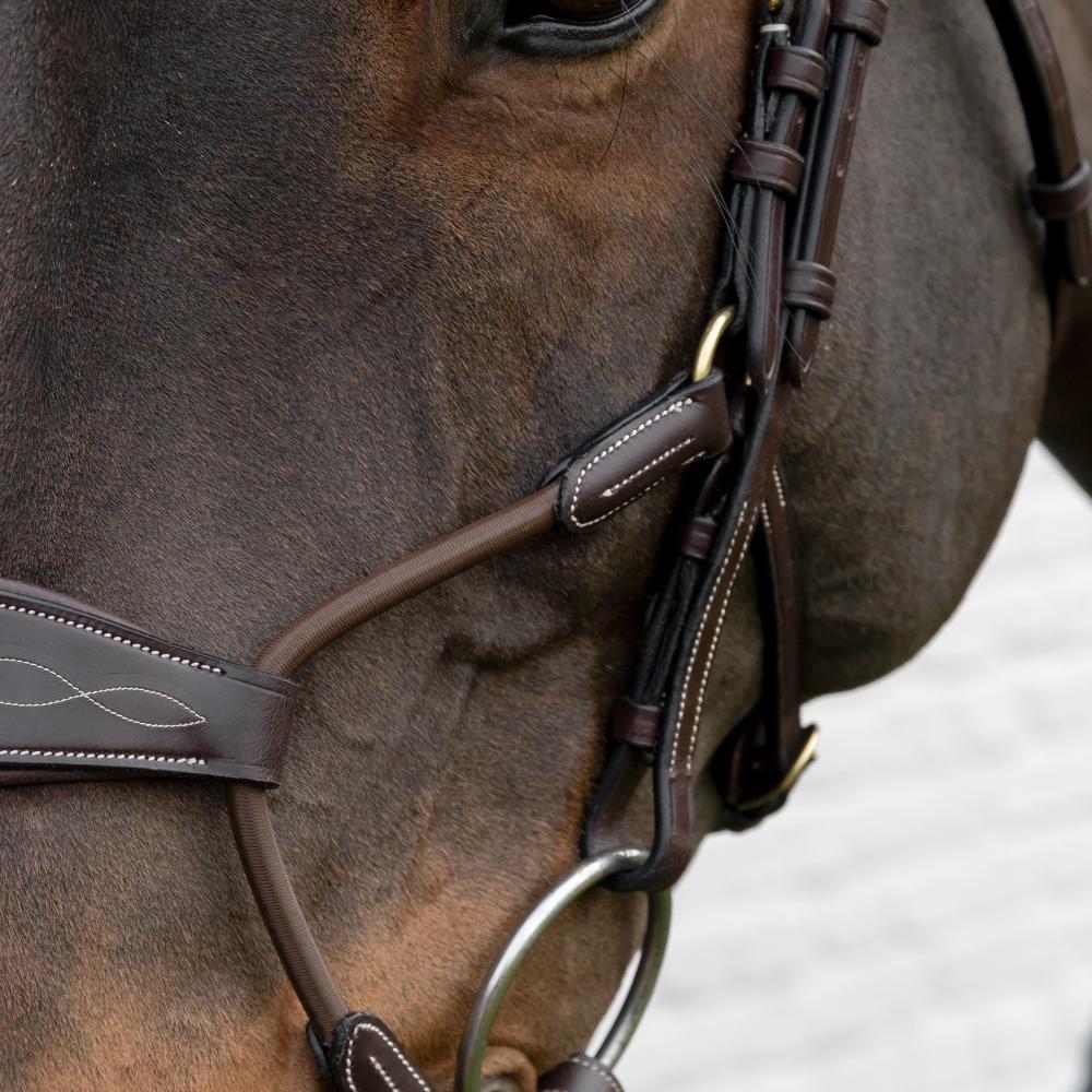 Hybrider Elastischer Nasenriemen |