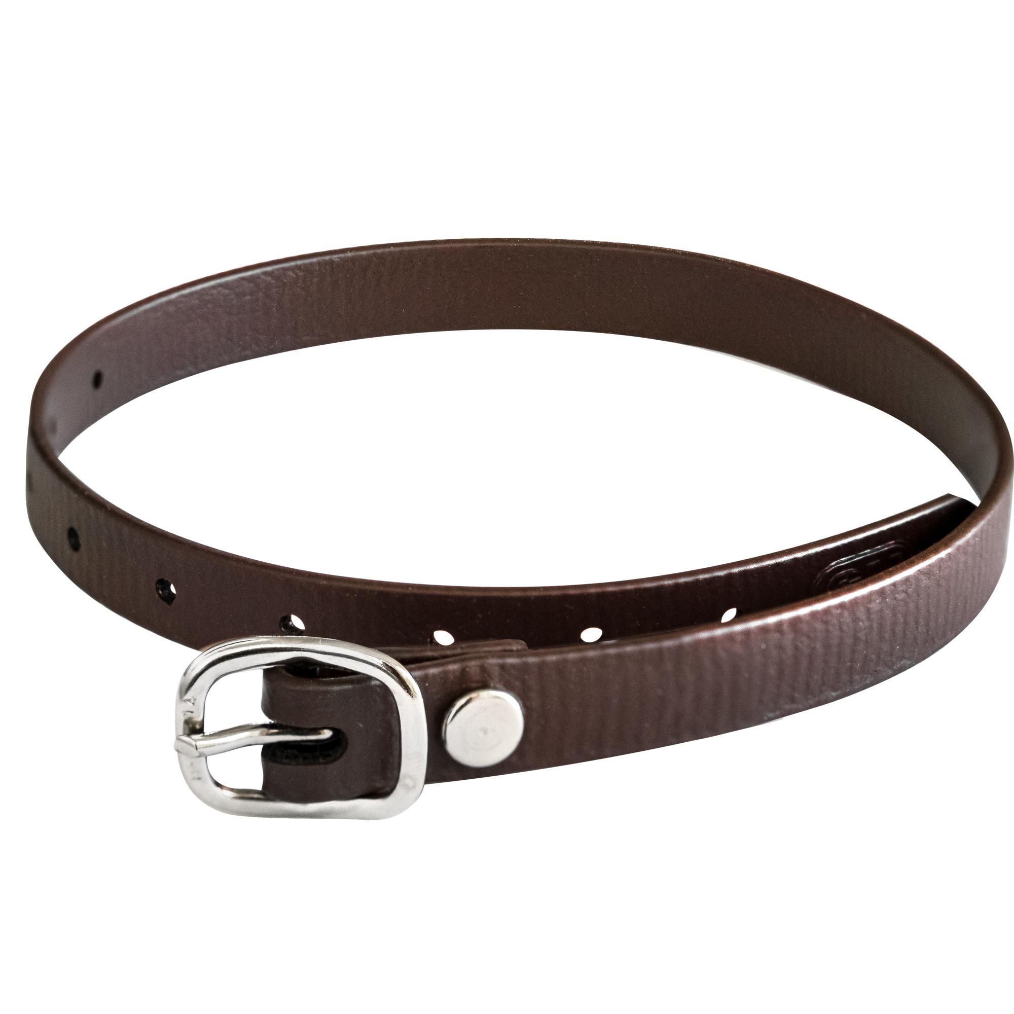 Spur strap Biothane 45cm