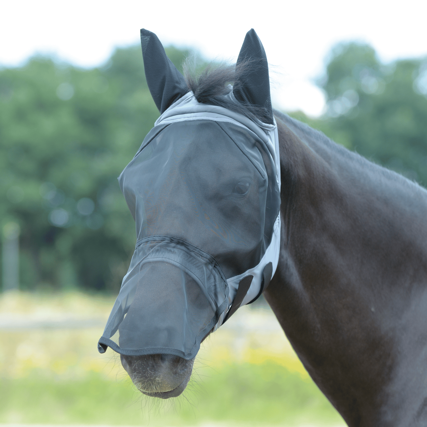 Fliegenmaske Fly Buckler Gap Plus