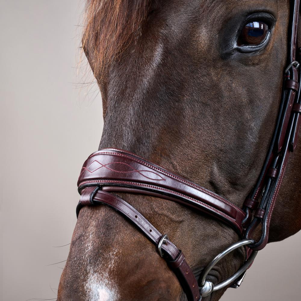 Anatomische Trense mit kombiniertem Reithalfter NE