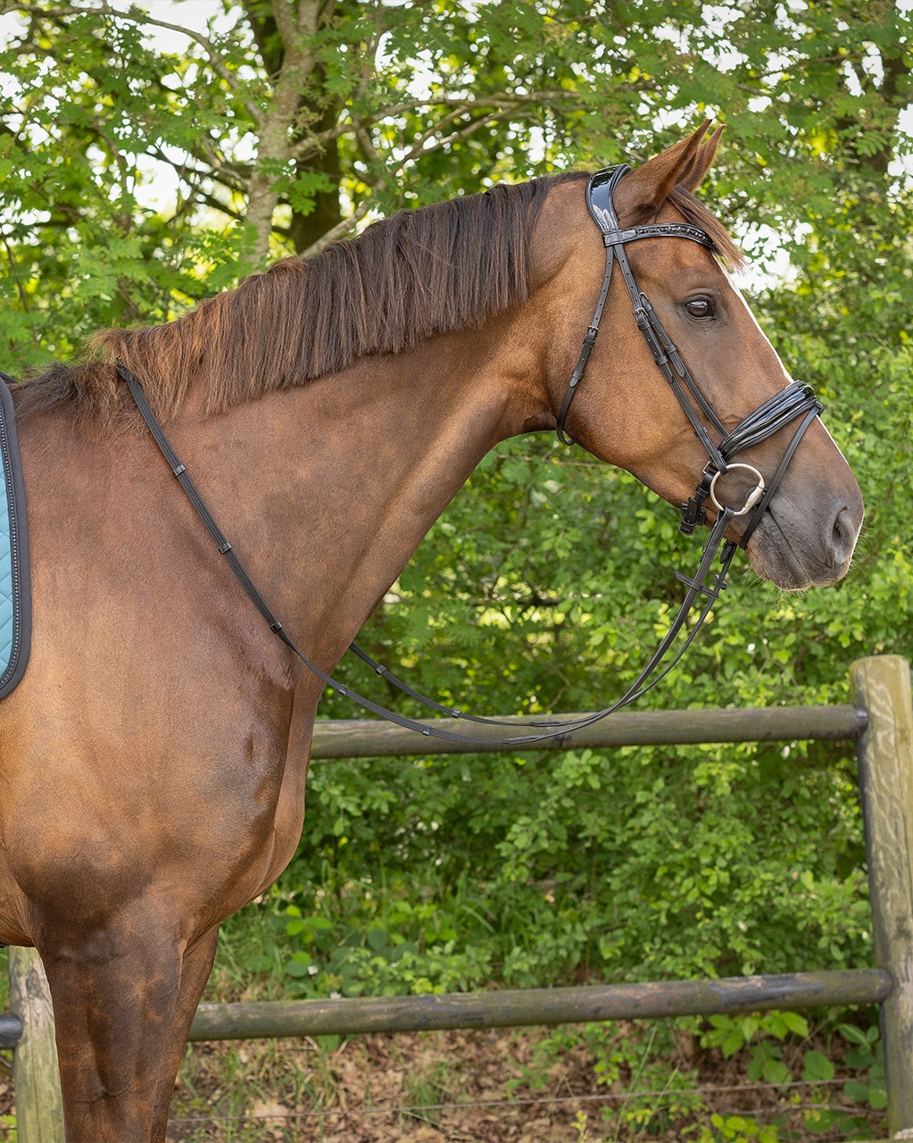 Trense Arleth in schwarz