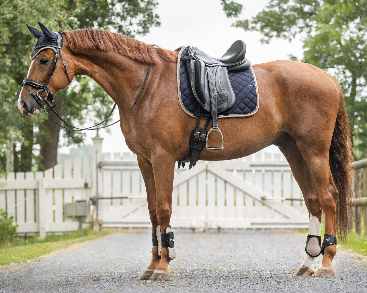 Fetlock caps
