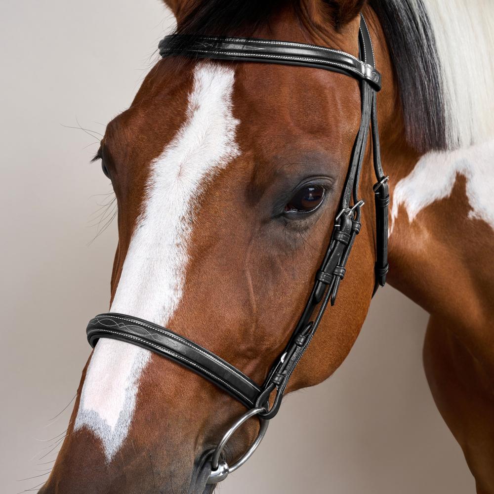 Trense mit Cavesson Reithalfter US