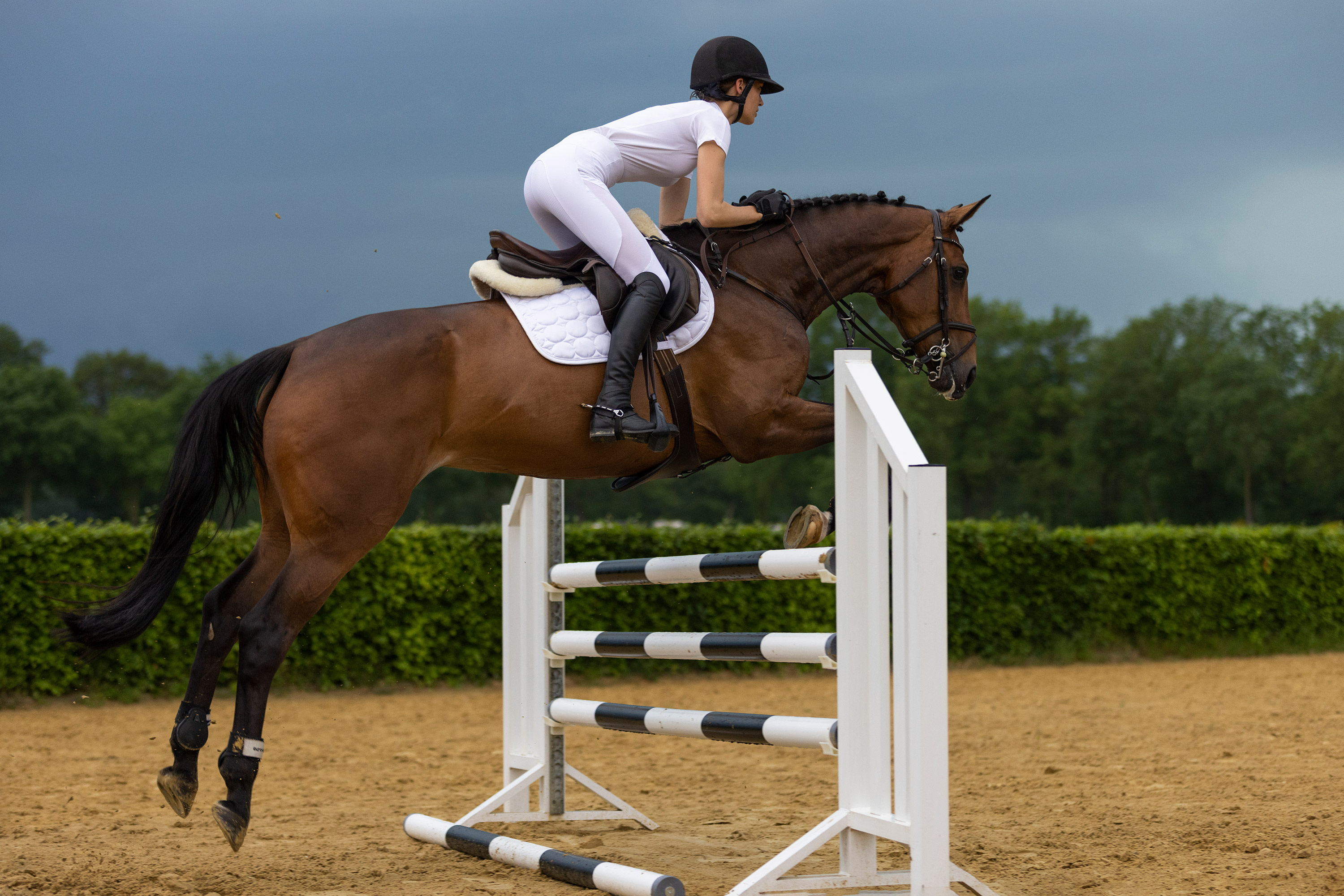 Reitlegging Flying Figure FullGrip