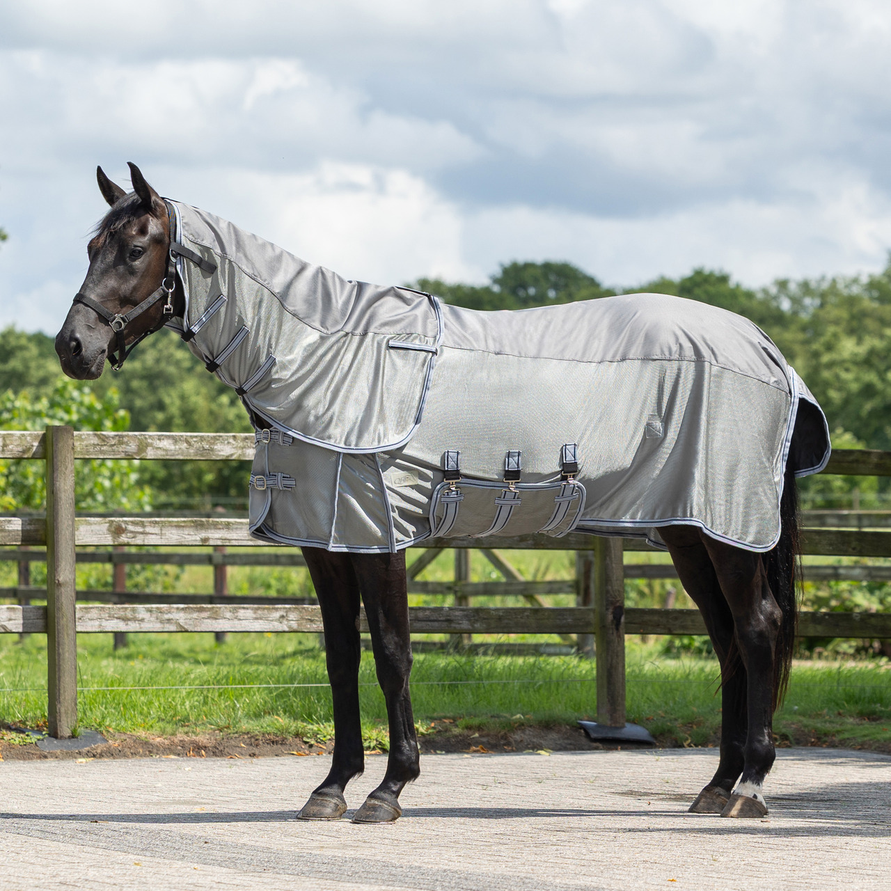 Combo fly rug with neck Combo fly rug with neck