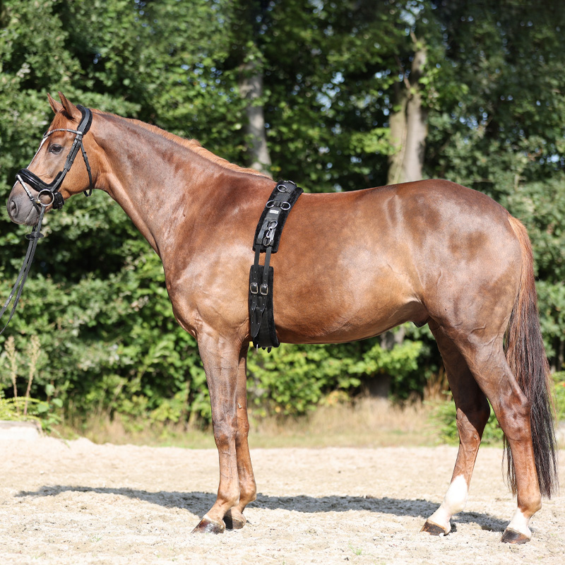 Longiergurt mit Kunstfell