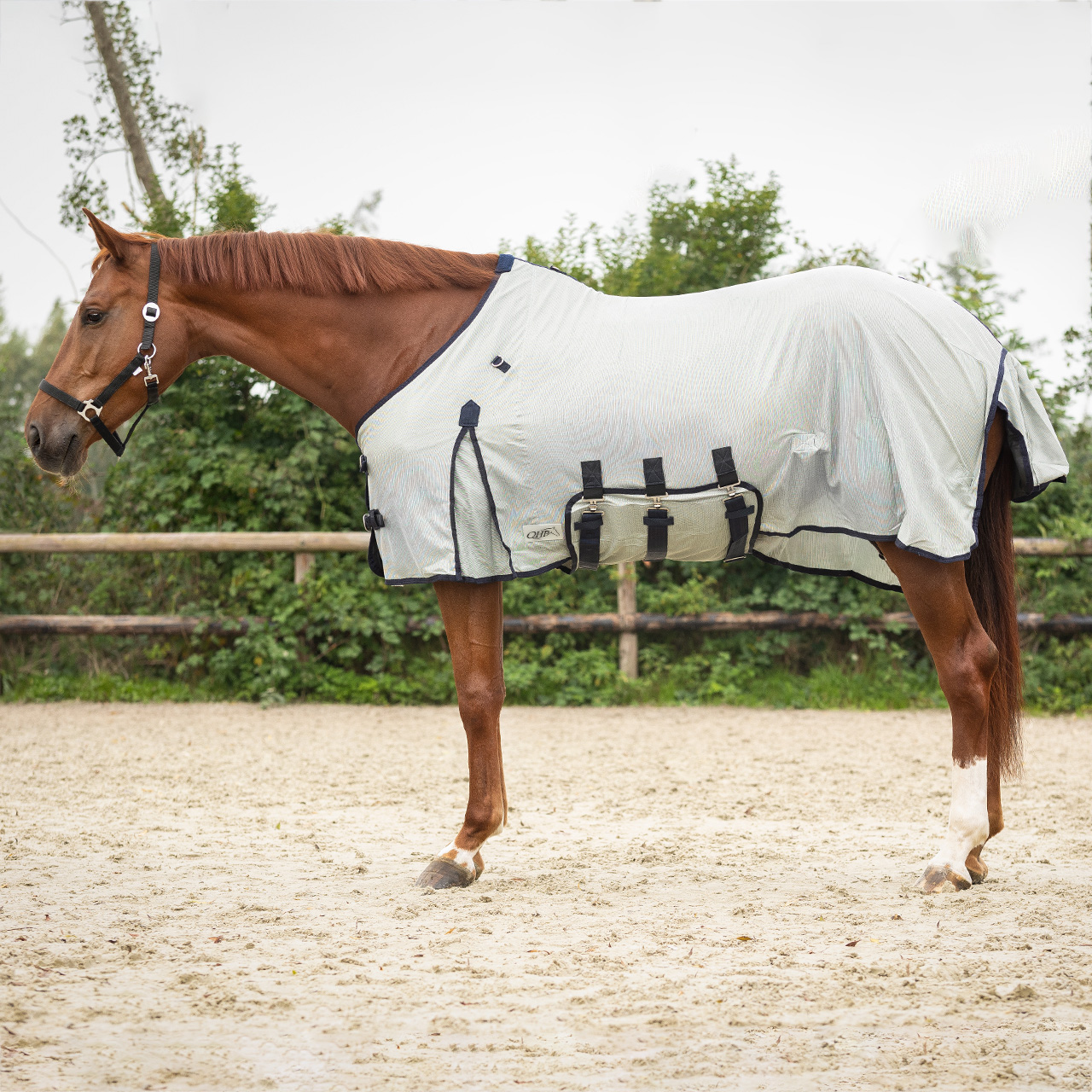 Fly rug with neck and bonnet
