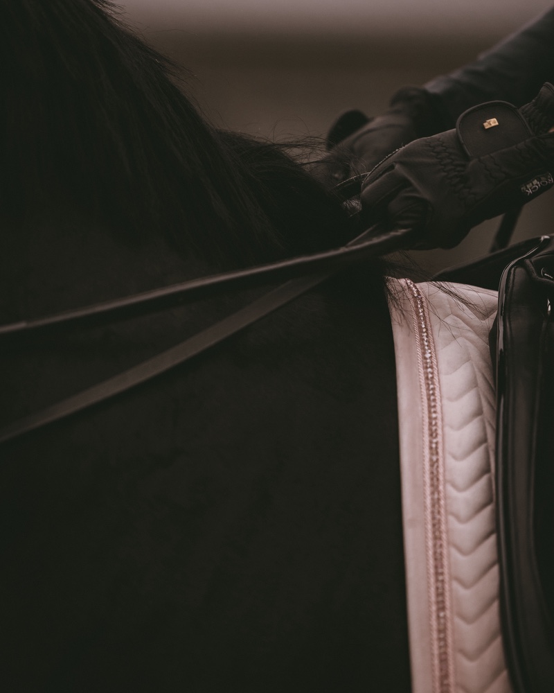 Dressage saddle pad Velvet Pearls