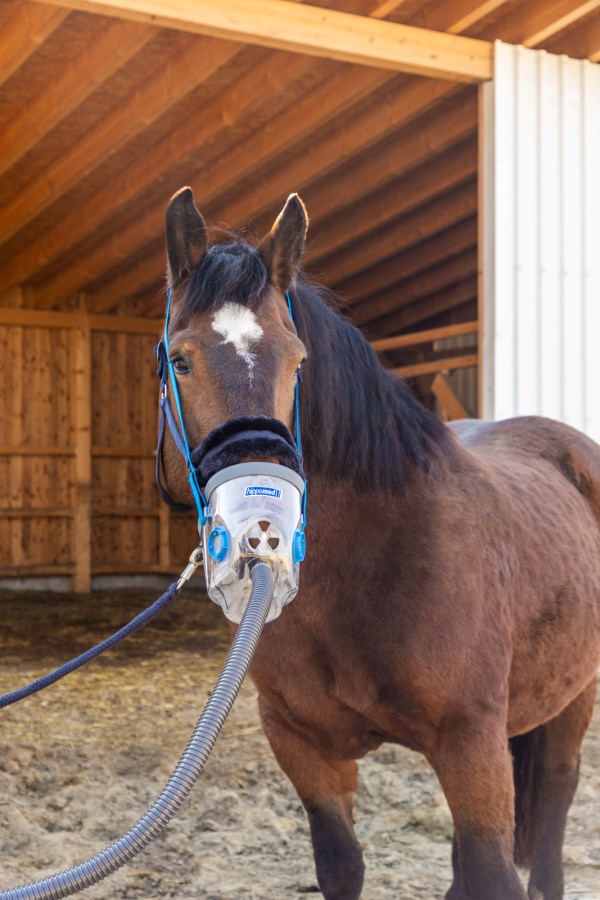 Inhalationsmaske inkl. Zubehör für AirOne