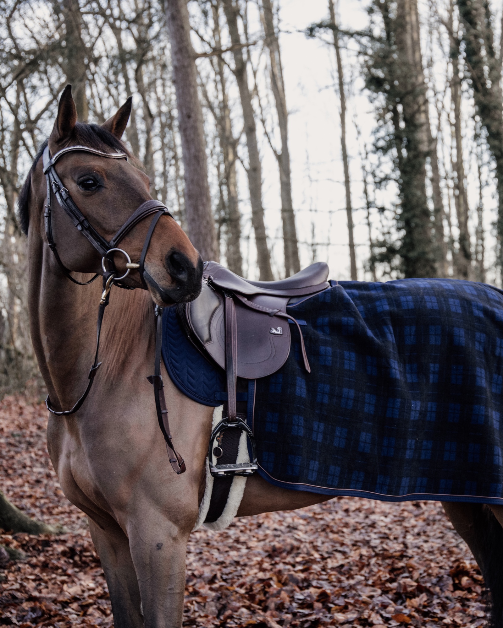 Couverture d'équitation carrée Heavy Fleece