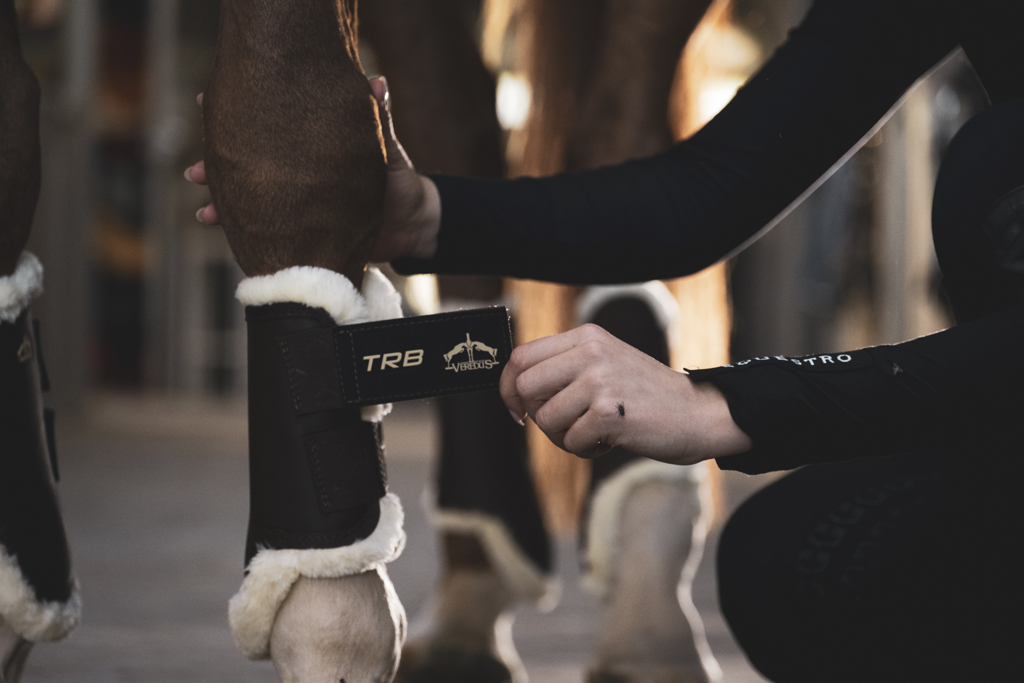 Gamaschen TRB Save the Sheep Front