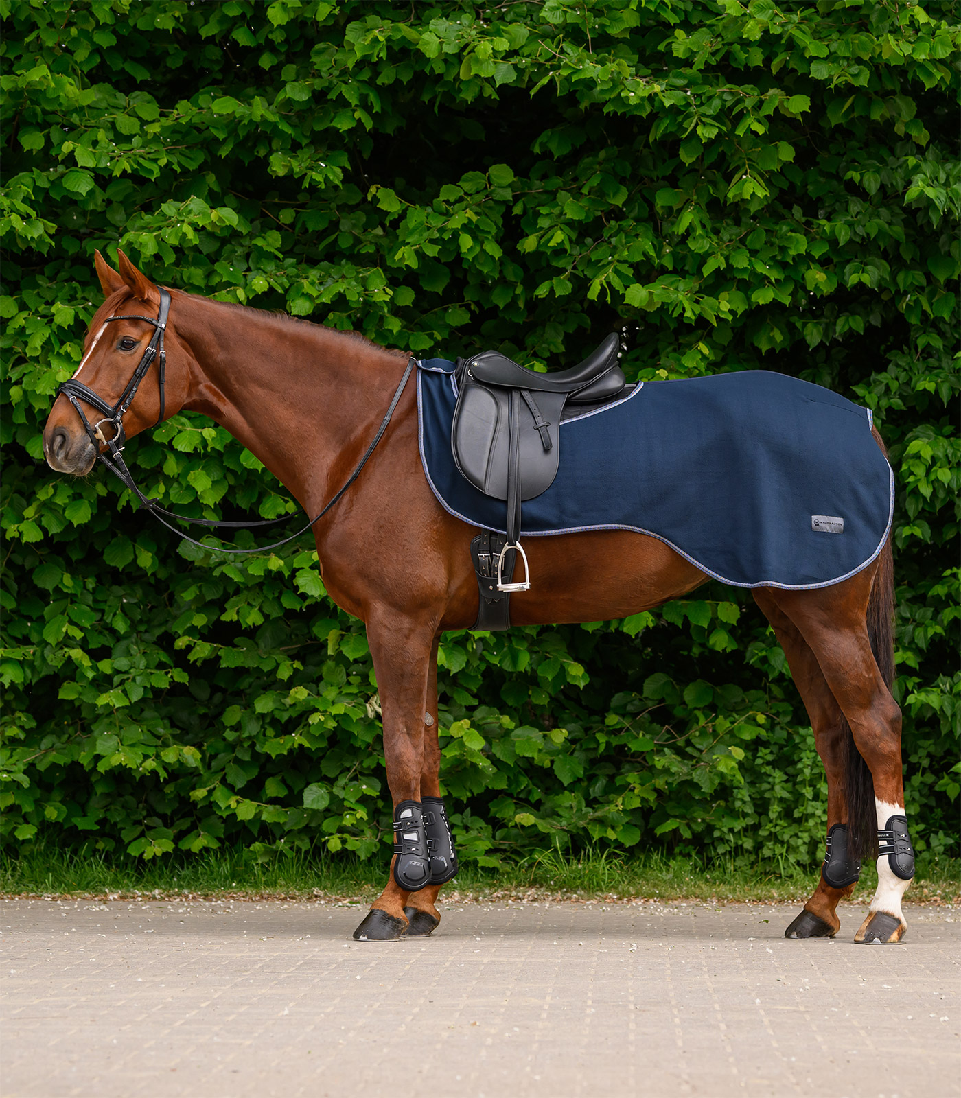 ECONOMIC Fleece Exercise rug, nightblue