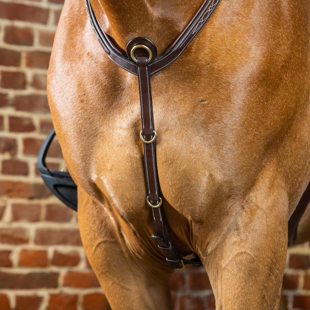 Vorderzeug mit Brücke | Dy'on