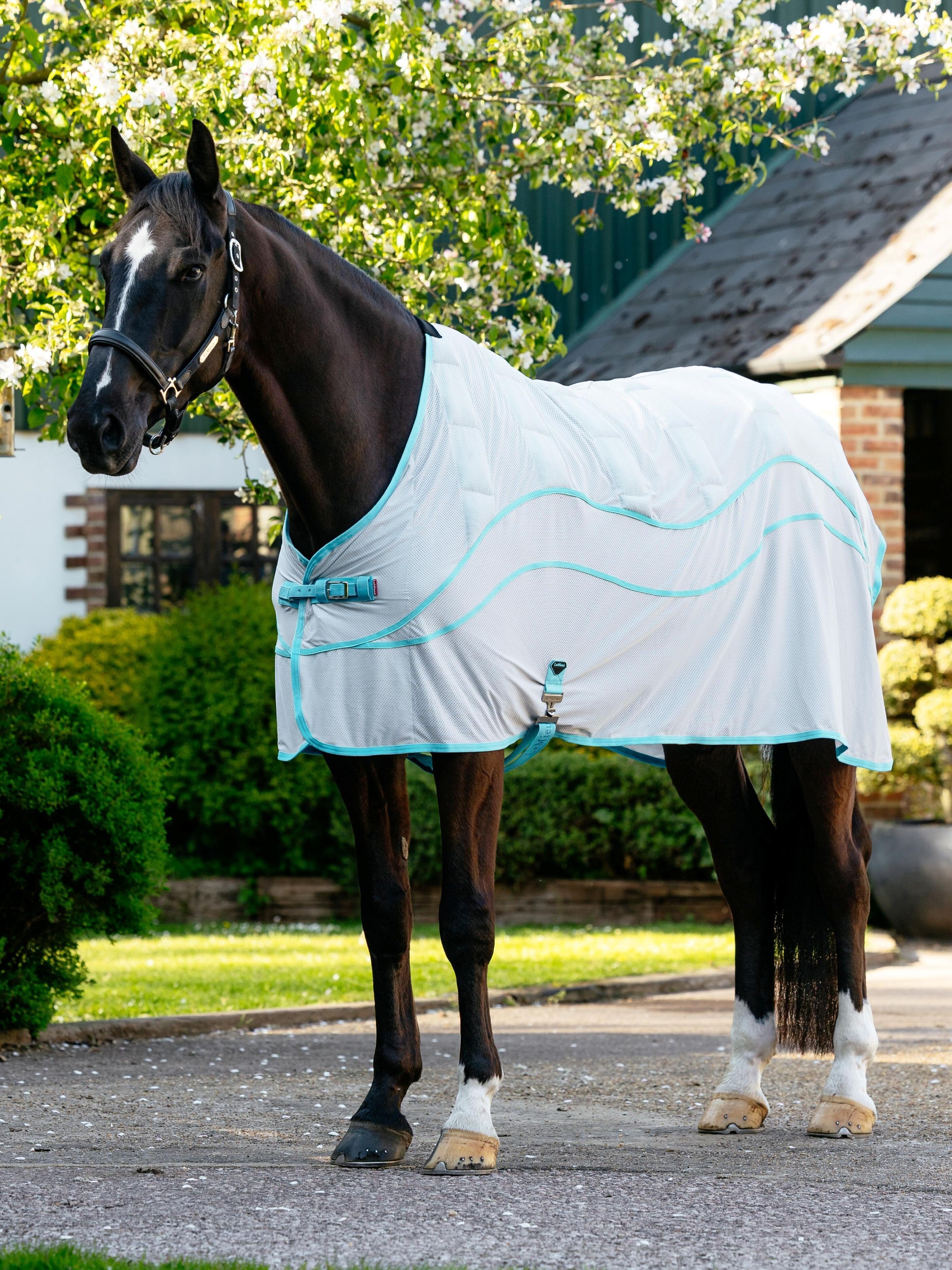 Crystal Cooler-deken