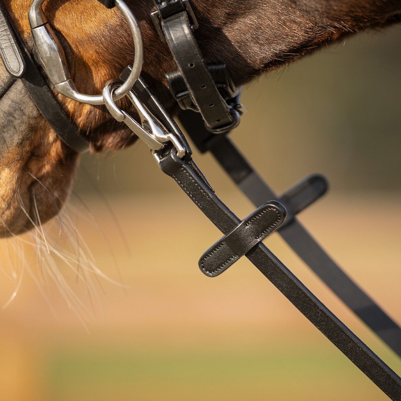 Zügel mit Gummiunterseite mit Clip