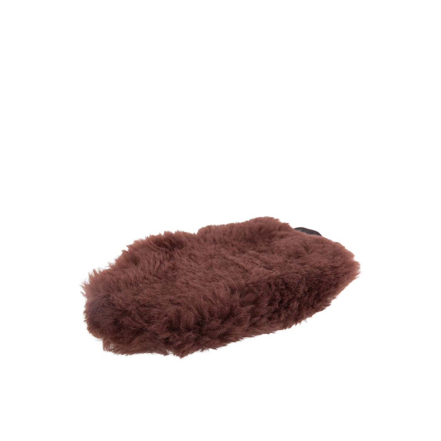 Putzhandschuh