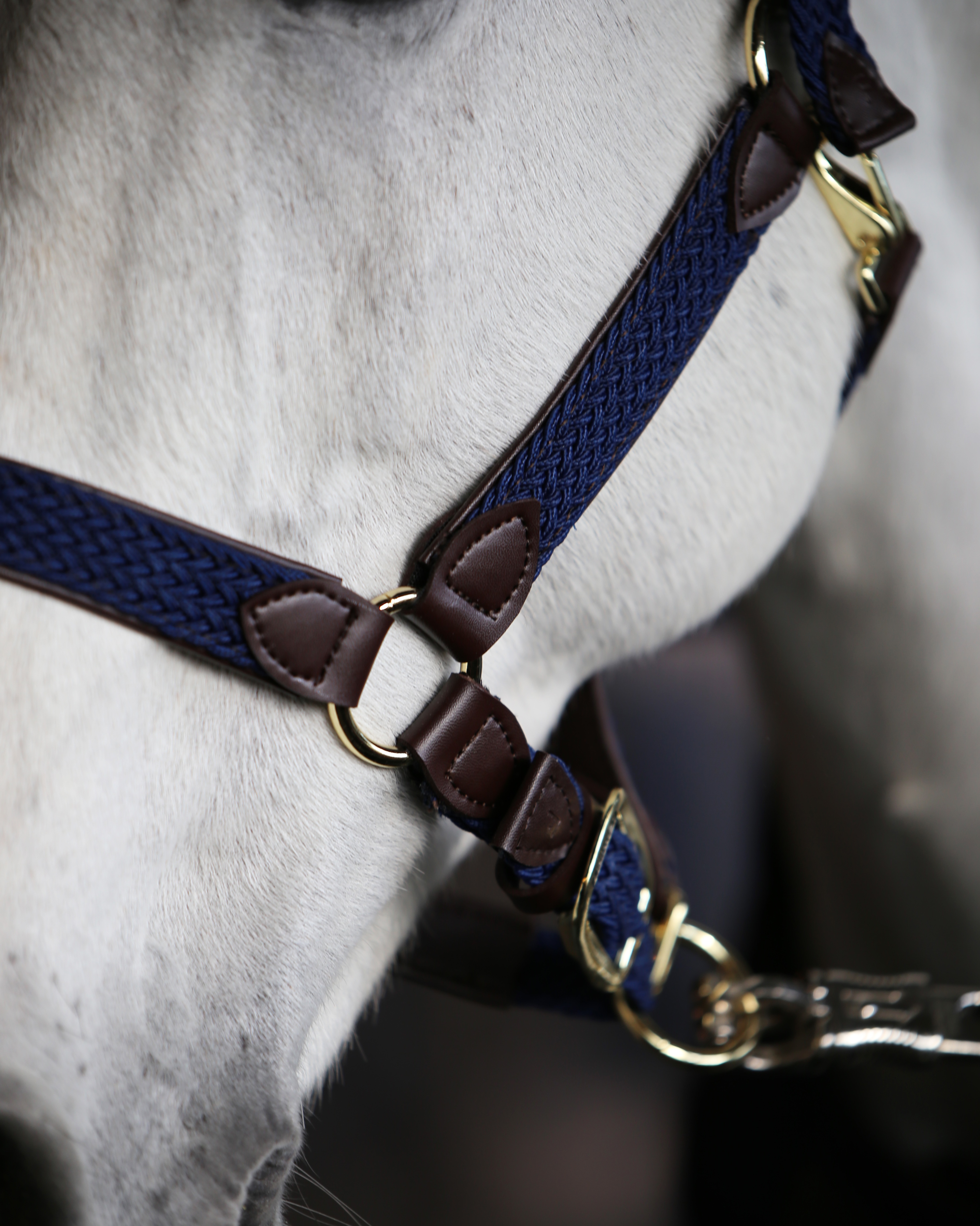 Halter Braided Nylon
