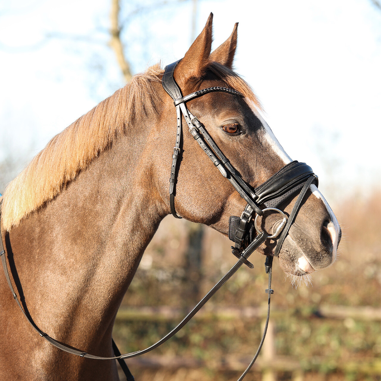 Noseband pad Air Mesh
