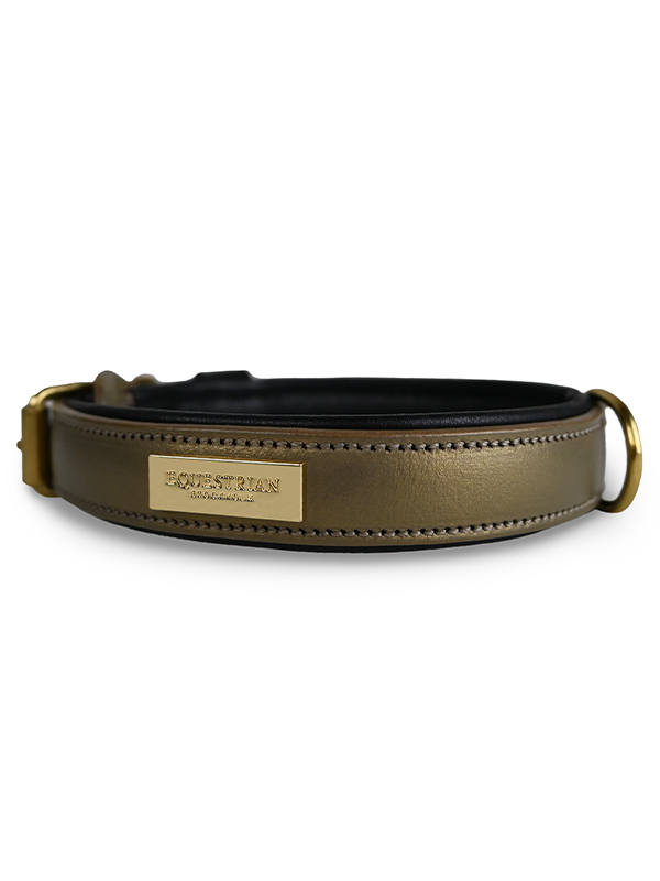 Dog collar