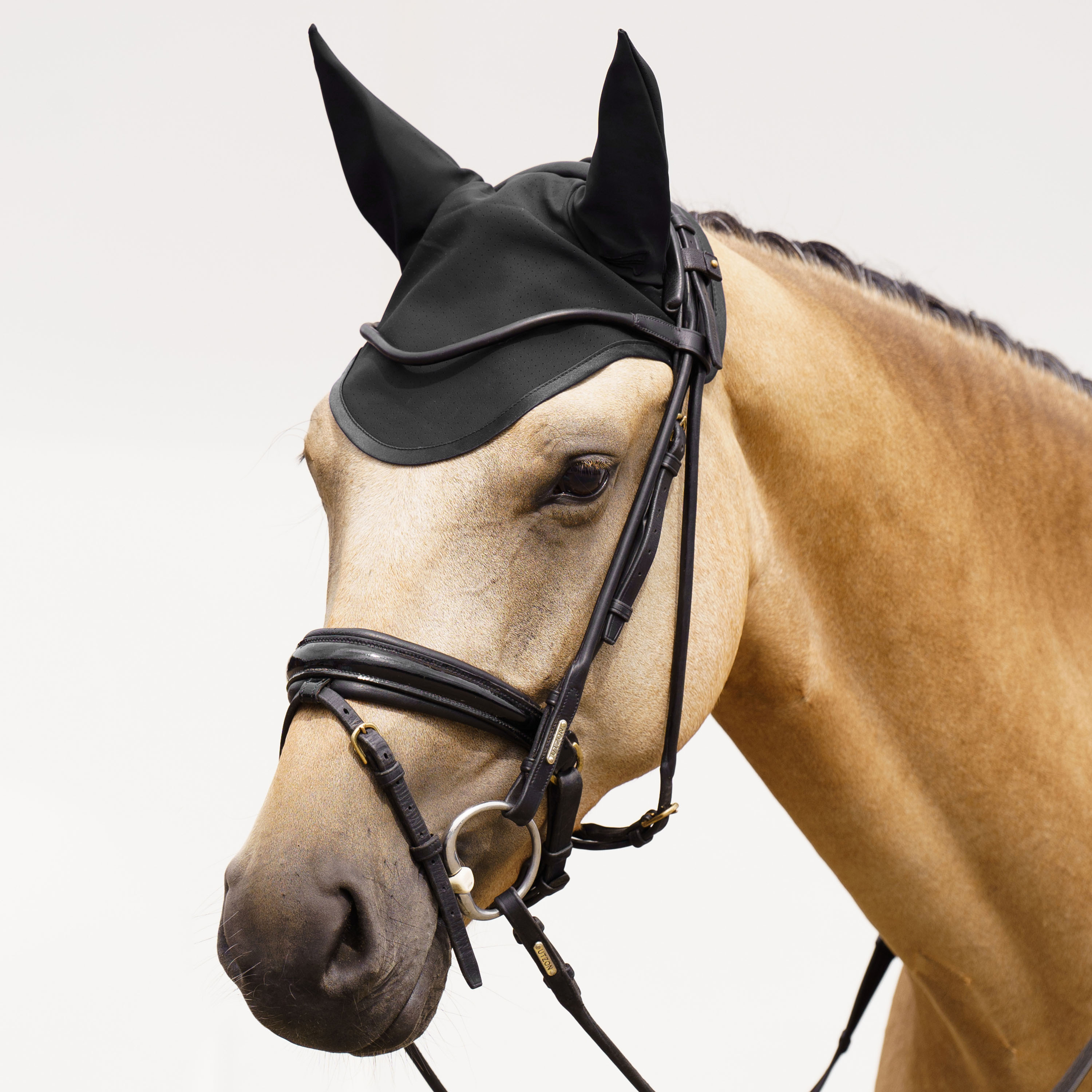 Fliegenhaube Coco