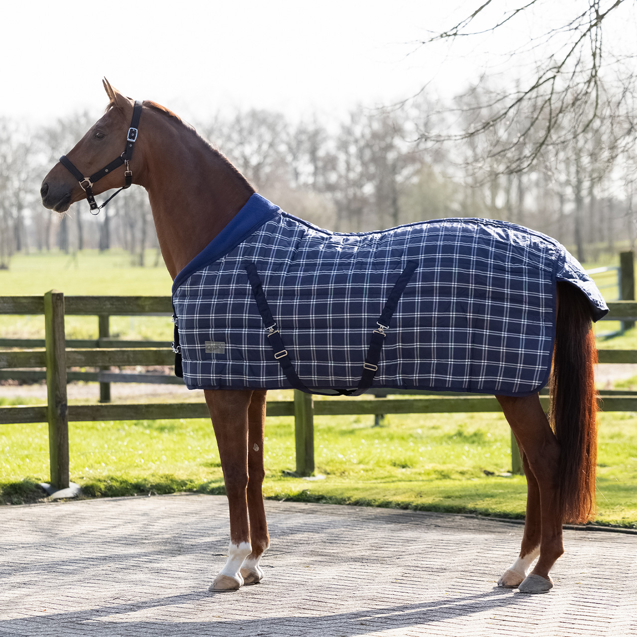 Stalldecke Luxus 300gr