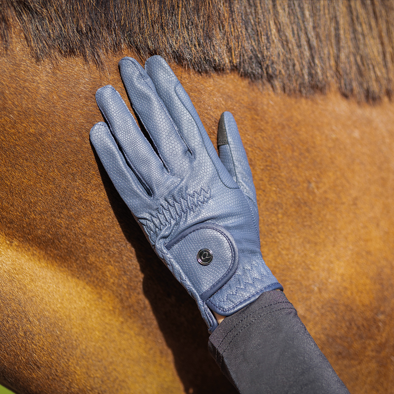 Riding glove Force