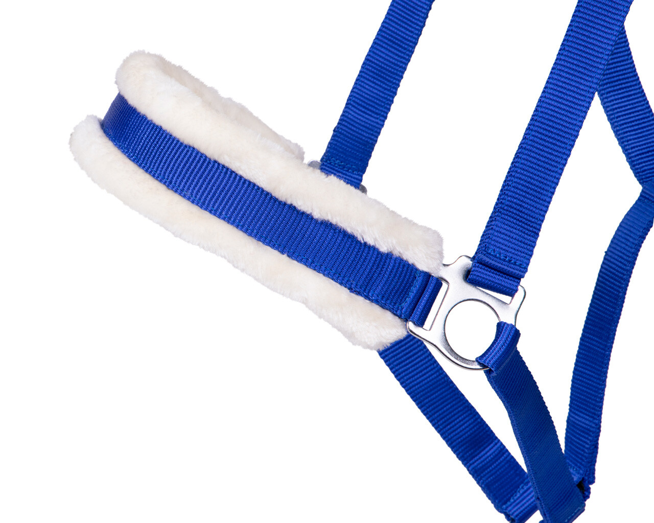 Halfter Cali Zugpferd