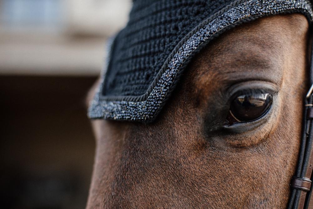 Fly hood Wellington Glitter