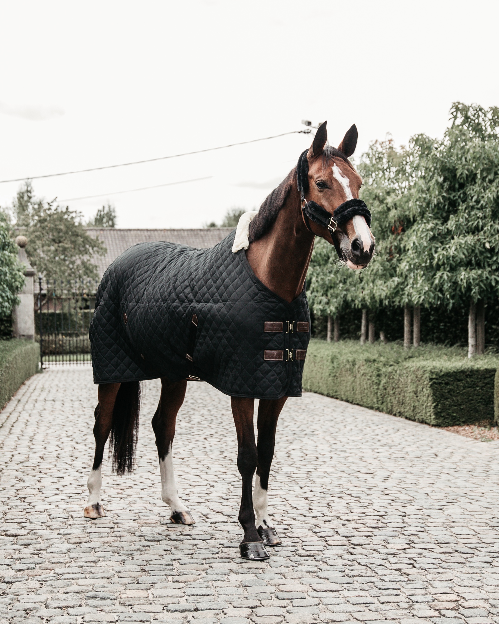 Stable rug 400g