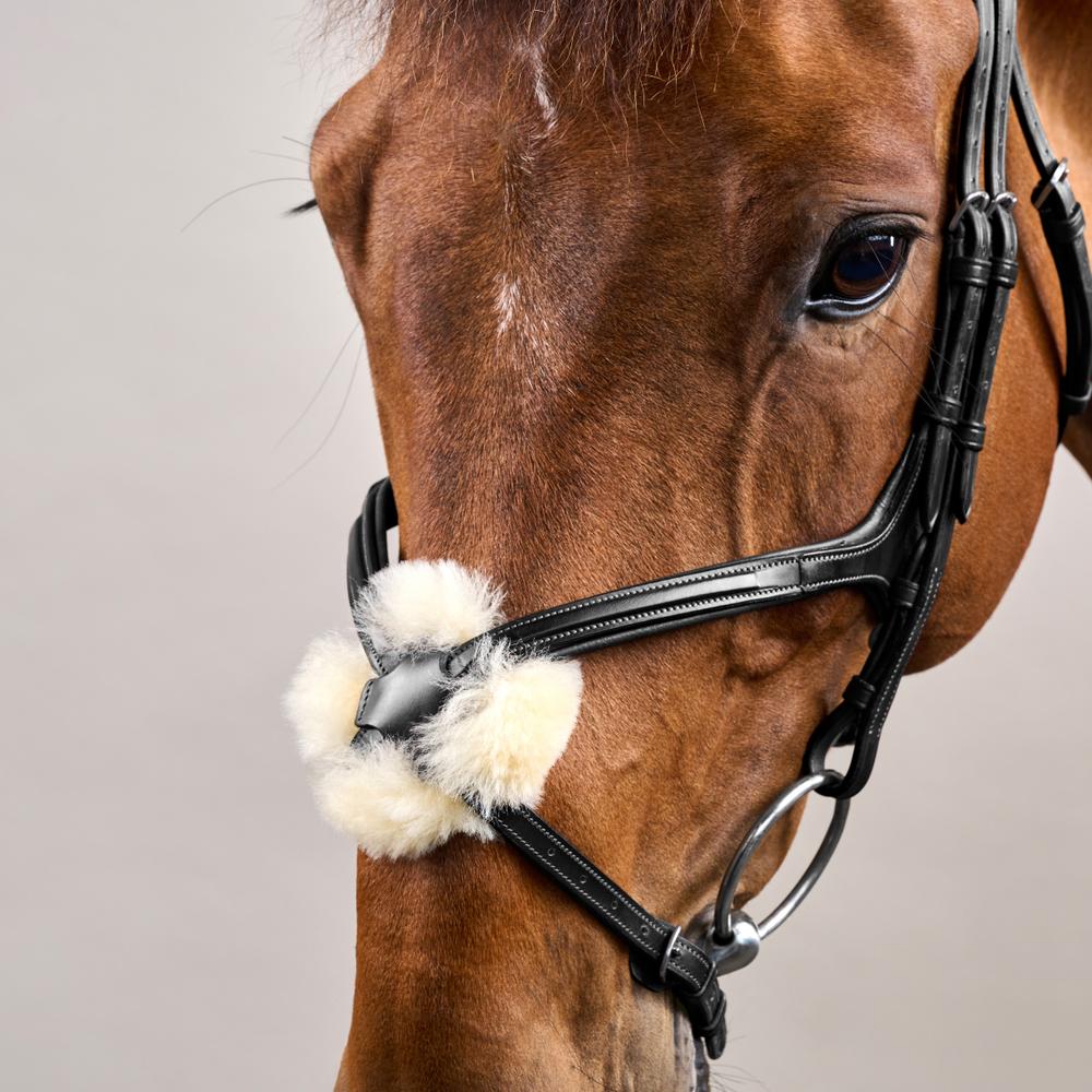 Trense mit mexikanischem Reithalfter NE