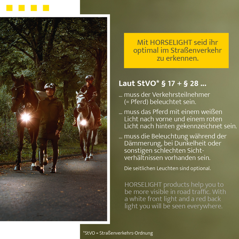 Arm cuffs "Horselight"-white light